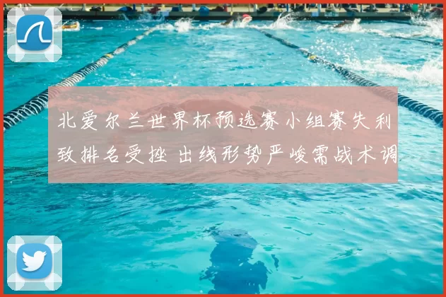 北爱尔兰世界杯预选赛小组赛失利致排名受挫 出线形势严峻需战术调整