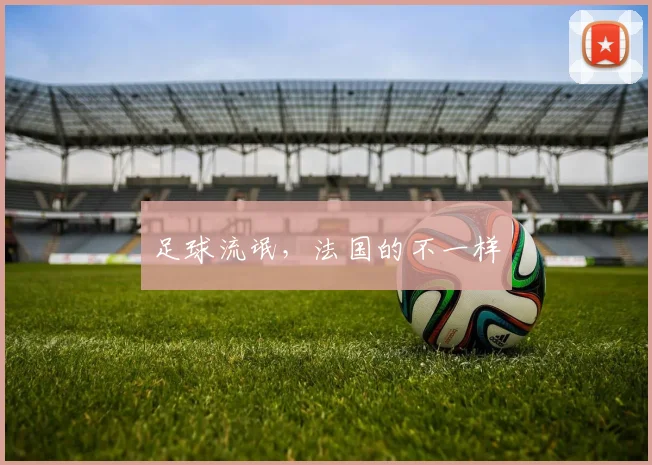 足球流氓，法国的不一样