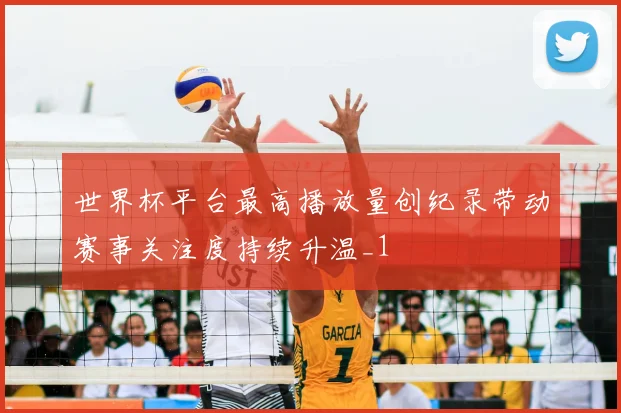 世界杯平台最高播放量创纪录带动赛事关注度持续升温_1