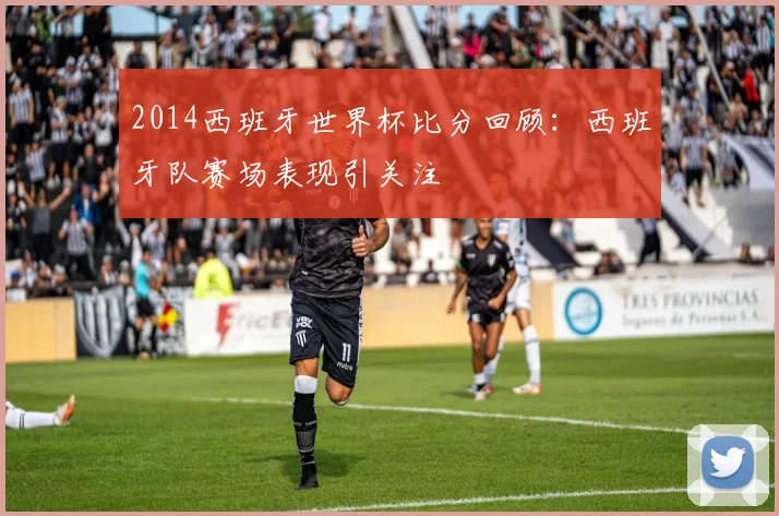 2014西班牙世界杯比分回顾:西班牙队赛场表现引关注