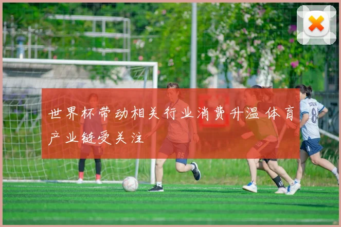 世界杯带动相关行业消费升温 体育产业链受关注