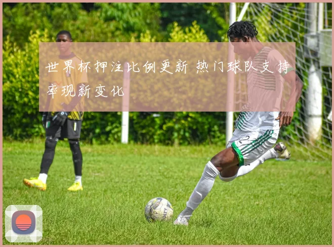 世界杯押注比例更新 热门球队支持率现新变化