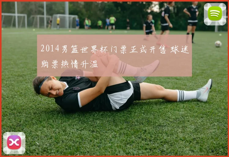 2014男篮世界杯门票正式开售 球迷购票热情升温