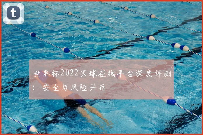 世界杯2022买球在线平台深度评测：安全与风险并存